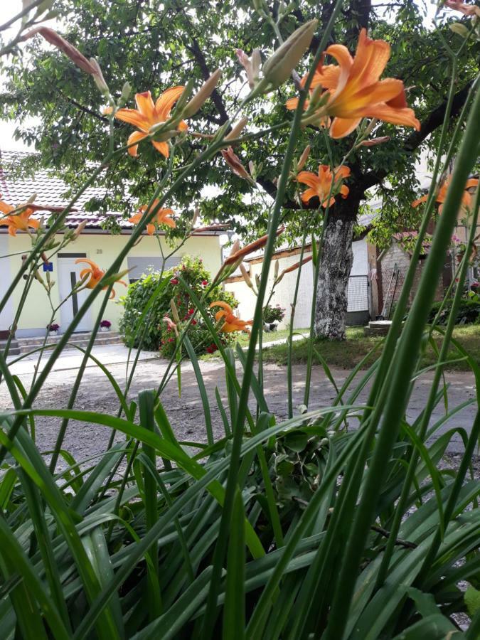 Gospic Riverside Apartment Luaran gambar