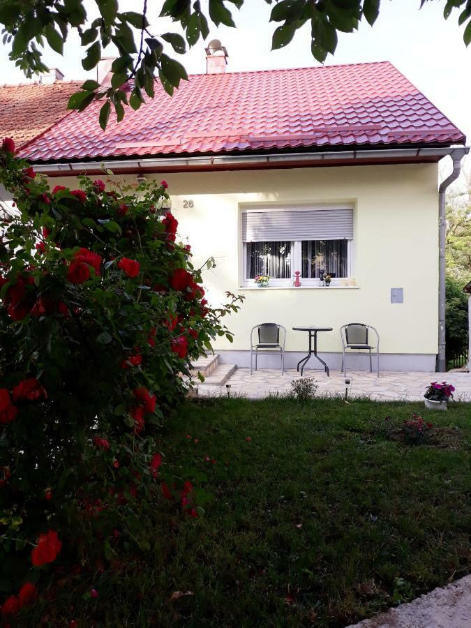 Gospic Riverside Apartment Luaran gambar
